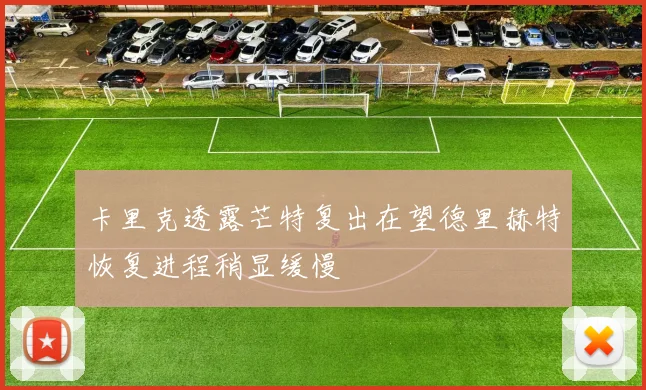 卡里克透露芒特复出在望德里赫特恢复进程稍显缓慢
