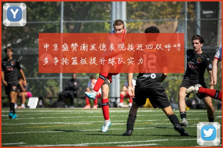 申京盛赞谢泼德表现接近四双呼吁多争抢篮板提升球队实力